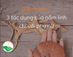 tac-dung-cua-nam-linh-chi-voi-phu-nu