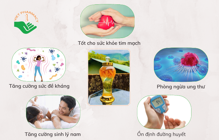 Tác dụng của rượu đông trùng hạ thảo
