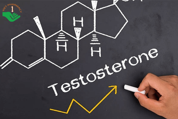 Nấm linh chi làm tăng hormone cho nam giới