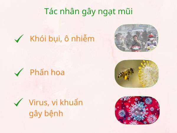 Tác nhân gây ngạt mũi