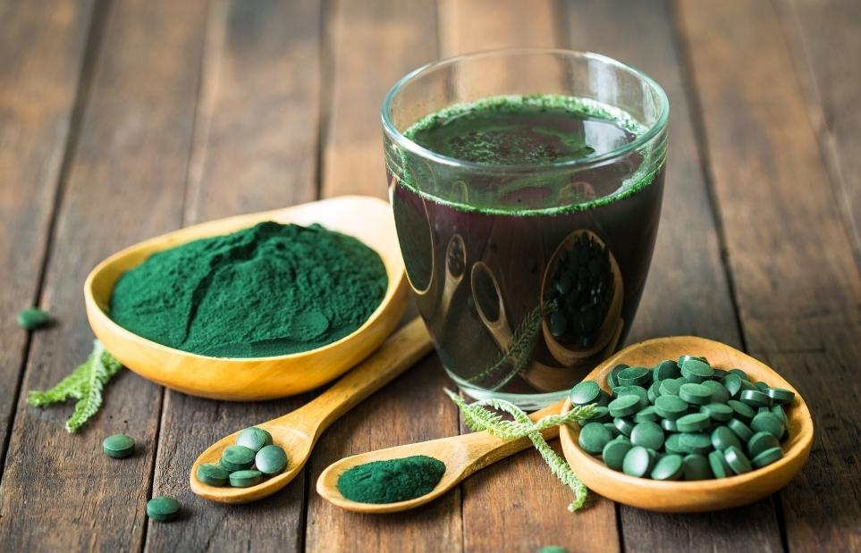 Tảo xoắn rất giàu protein