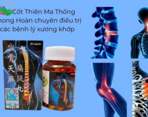 thanh-phan-cua-toa-cot-thien-ma-thong-phong-hoan