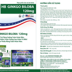 Viên uống HB GINKGO BILOBA 120mg hỗ trợ tăng tuần hoàn não