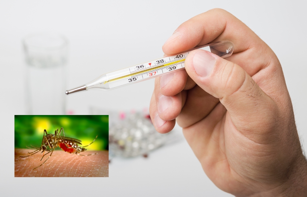 Theo dõi thân nhiệt là điều quan trọng khi điều trị sốt xuất huyết tại nhà