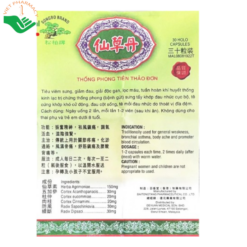 Thuốc Thống Phong Tiên Thảo Đơn