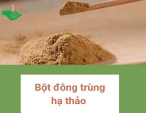 thumbnail-bot-dong-trung-ha-thao