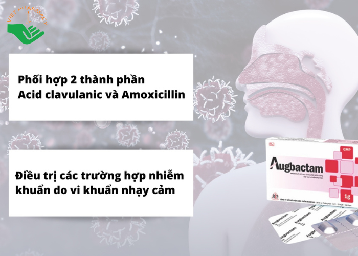 Thuốc Augbactam 1g Mekophar hỗ trợ điều trị nhiễm khuẩn đường hô hấp (2 vỉ x 7 viên)