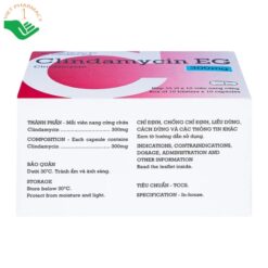 Thuốc Clindamycin EG 300mg điều trị nhiễm khuẩn (Hộp 10 vỉ x 10 viên)