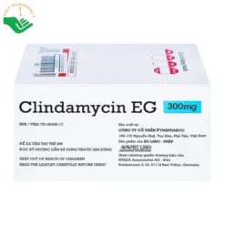 Thuốc Clindamycin EG 300mg điều trị nhiễm khuẩn (Hộp 10 vỉ x 10 viên)