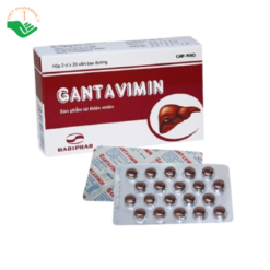 Thuốc Gantavimin Hadiphar điều trị viêm gan siêu vi B (2 vỉ x 20 viên)