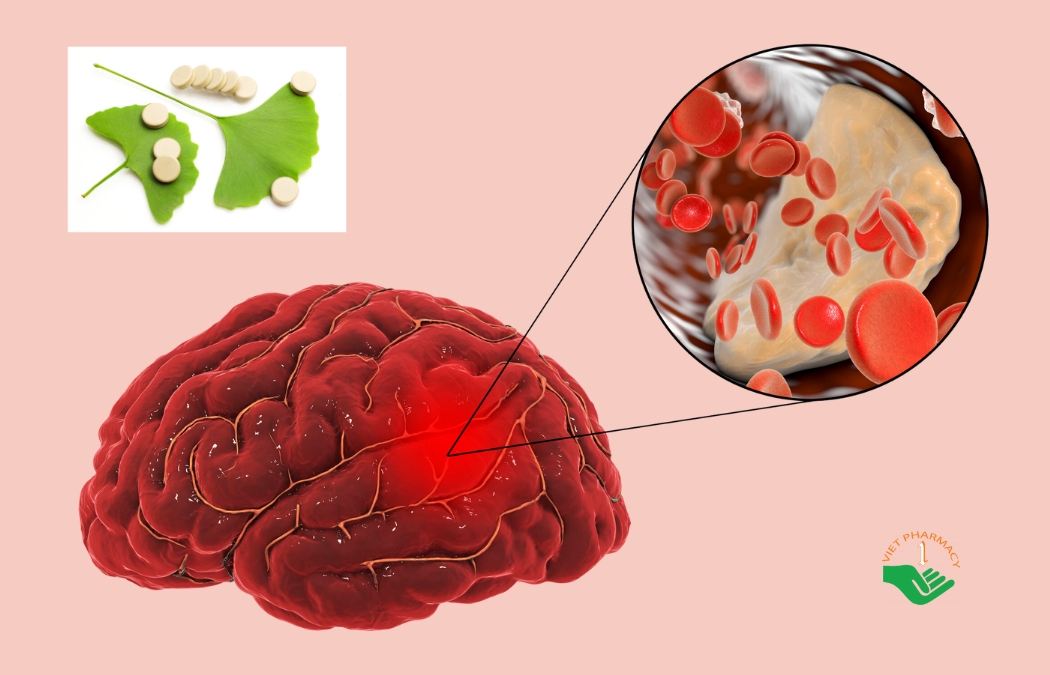Thuốc Ginkgo Biloba có lợi ích về chức năng não và tuần hoàn