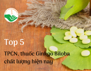 thuoc-ginkgo-biloba-la-gi-1