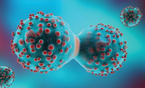 Thuốc Glivec ngăn chặn sự phát triển của tế bào ung thư