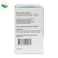 Thuốc Glupain Forte 750mg CMPS giảm thoái hoá khớp (10 vỉ x 10 viên)
