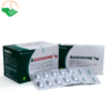 Thuốc kháng sinh Augxicine 1g (hộp 10 vỉ x 10 viên)