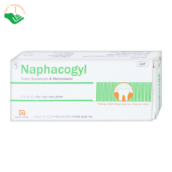 Thuốc Naphacogyl Nam Hà phòng ngừa và điều trị nhiễm trùng răng miệng (2 vỉ x 10 viên)