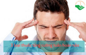 thuoc-tang-cuong-tuan-hoan-mau-nao1