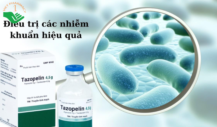 Thuốc Tazopelin 4,5g điều trị nhiễm khuẩn (hộp 1 lọ)