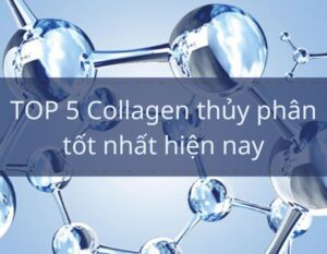 top-collagen-thuy-phan-tot-nhat-hien-nay