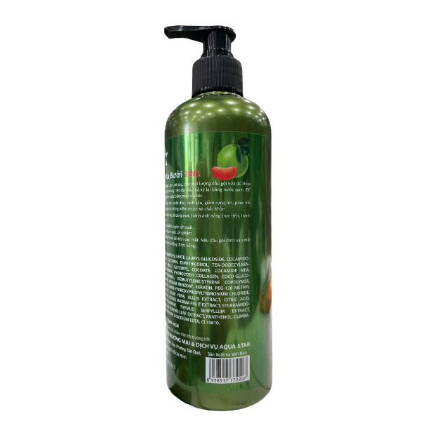 Dầu gội xả bưởi 2IN1 AquaStar 500ml