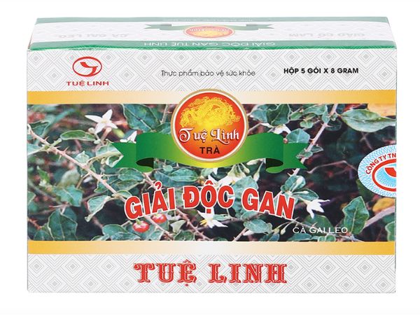 Trà cà gai leo Tuệ Linh