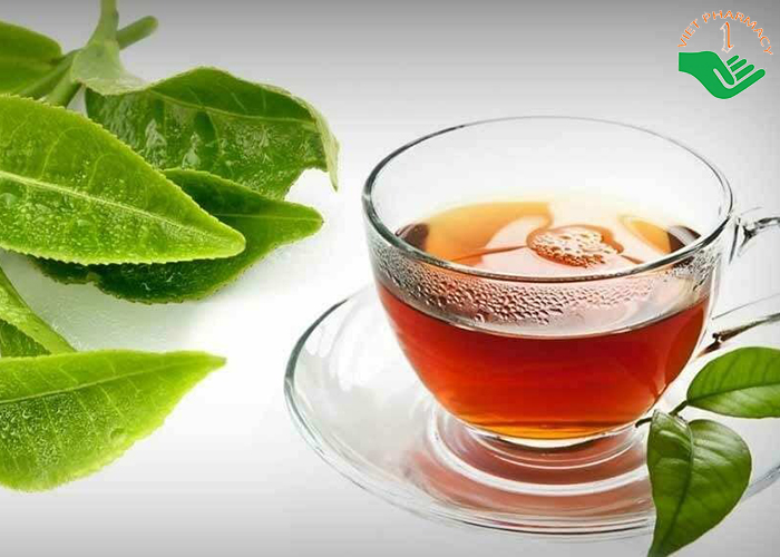 Trà lá ổi giảm cân hỗ trợ kiểm soát đường huyết và cải thiện tiêu hóa