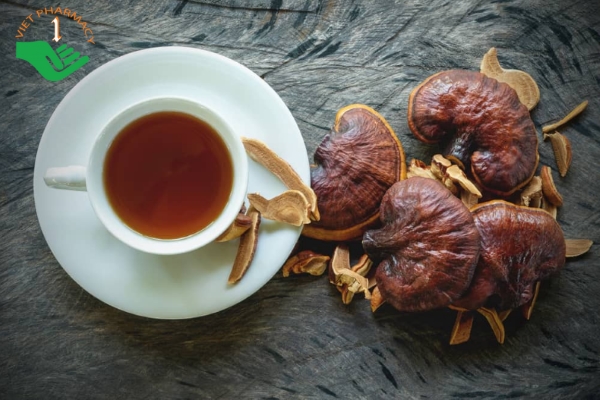 Trà nấm linh chi giúp loại bỏ các chất độc tích lũy trong cơ thể