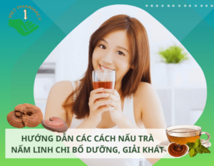 tra-nam-linh-chi-thumbnail