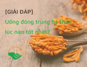 uong-dong-trung-ha-thao-luc-nao-tot-nhat