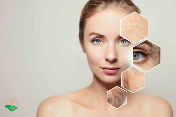 Công dụng chống oxy hoá tuyệt vời của nấm lim xanh