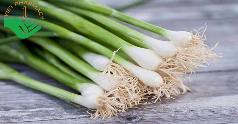 Hành có tác dụng trị cảm cúm