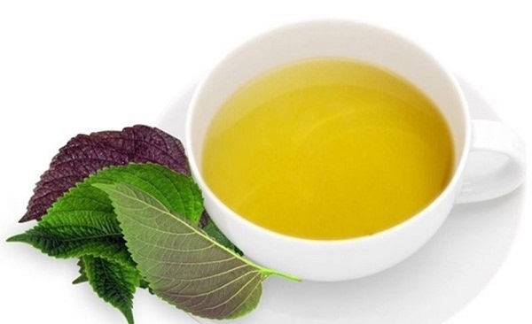 Uống nước lá tía tô giúp chuyển dạ nhanh