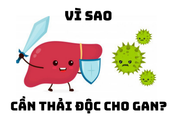 Vì sao cần thải độc cho gan?