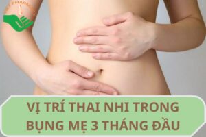 vi-tri-thai-nhi-trong-bung-me-3-thang-dau