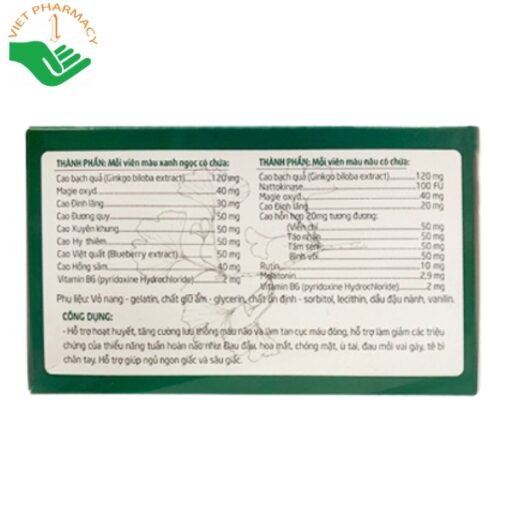 Viên uống bổ não ngày đêm BRAINMAX GINKGO 120