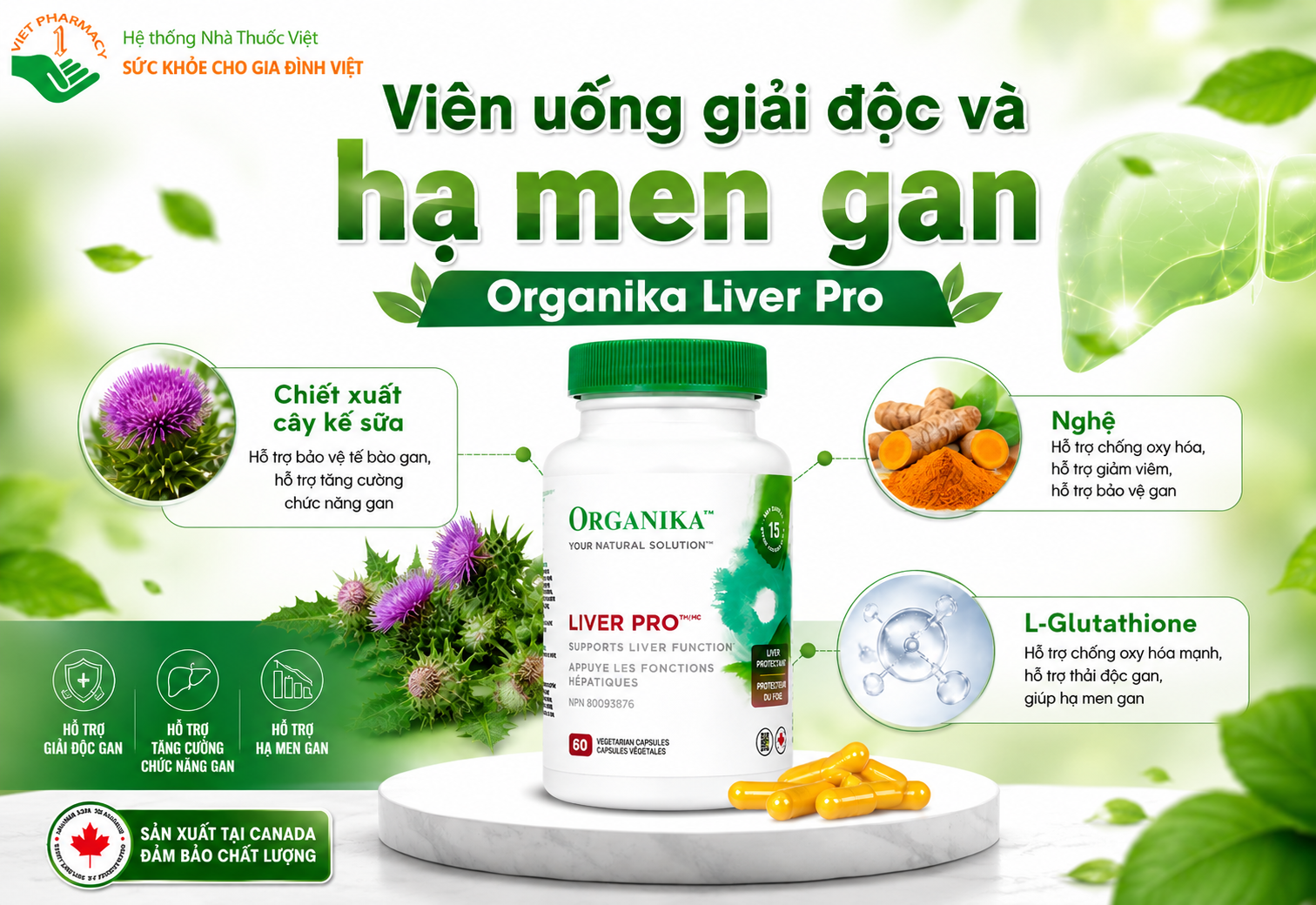 Viên uống giải độc gan Organika Liver Pro