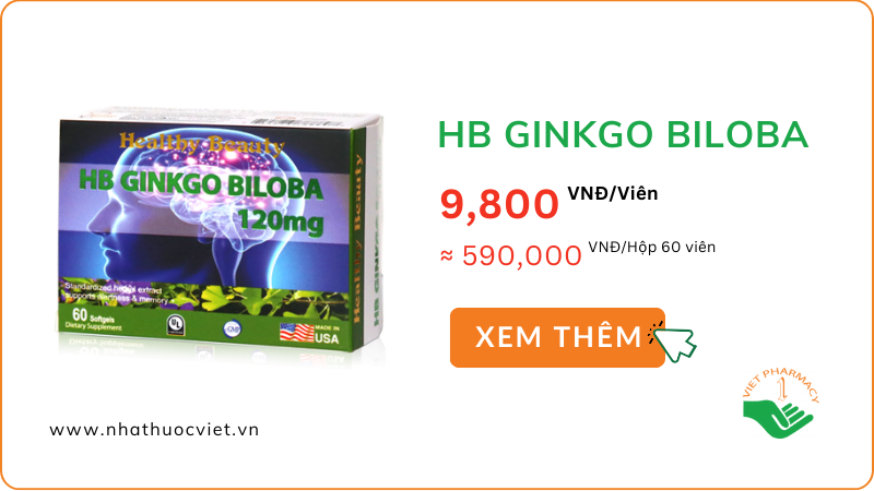 HB GINKGO BILOBA 120mg