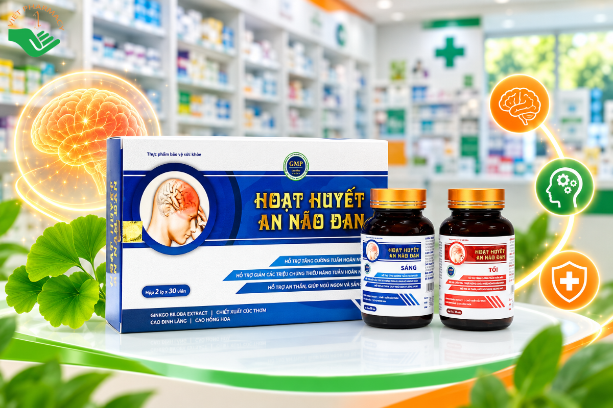 Viên uống cải thiện tuần hoàn não Hoạt Huyết An Não Đan