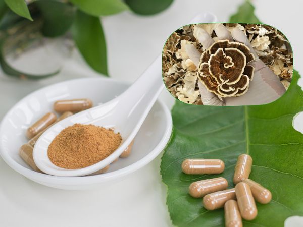 Viên uống nấm vân chi là dạng dùng phổ biến
