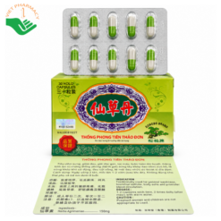 Viên uống Thống Phong Tiên Thảo Đơn hỗ trợ giảm đau nhức xương khớp (Hộp 30 viên)