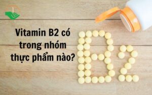 vitamin-b2-co-trong-nhom-thuc-pham-nao