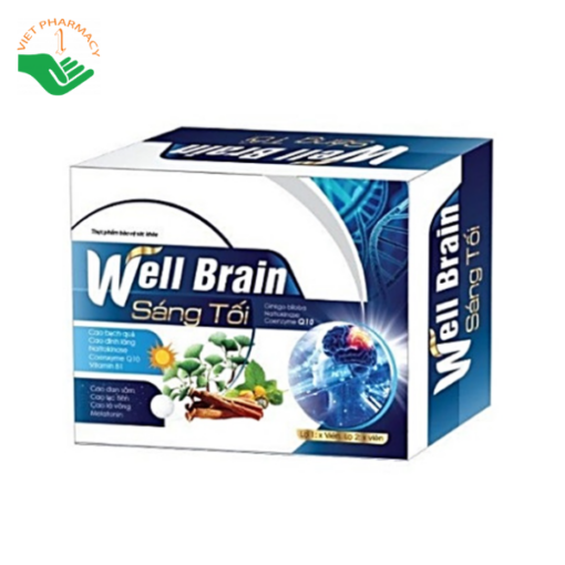 Viên uống hoạt huyết dưỡng não Well Brain