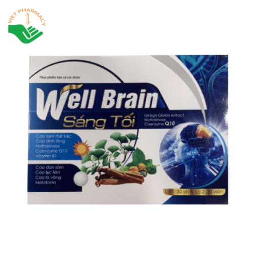 Viên uống hoạt huyết dưỡng não Well Brain