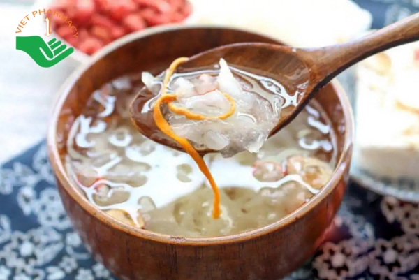 Chưng yến sào và đông trùng hạ thảo