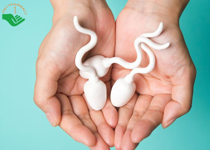 Yếu sinh lý thường không ảnh hưởng trực tiếp đến chất lượng hoặc số lượng tinh trùng