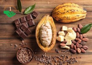 Cacao giúp điều hoà cảm giác thèm ăn