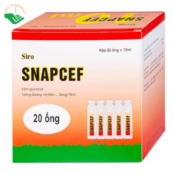 Siro Snapcef 16mg/10ml Hải Dương bổ sung kẽm, tăng cường sức đề kháng (20 ống x 10ml)