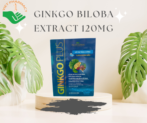 Viên uống cải thiện chất lượng giấc ngủ, hỗ trợ giảm căng thẳng mệt mỏi Ginkgo Biloba Extract 120mg (Hộp 60 viên)