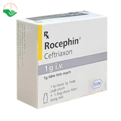 Bột pha tiêm Rocephin F.Hoffmann-La Roche điều trị nhiễm khuẩn huyết, viêm màng não (lọ 1g + ống 10ml)