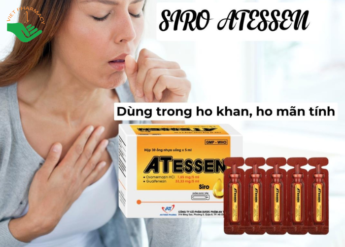 Siro ATessen An Thiên hỗ trợ giảm ho khan, ho không đờm, ho mạn tính (30 ống x 5ml)